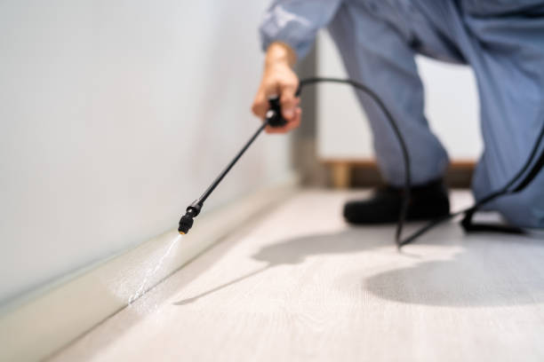 Bed Bug Pre-Treatment Preparation Assessment in Channelview