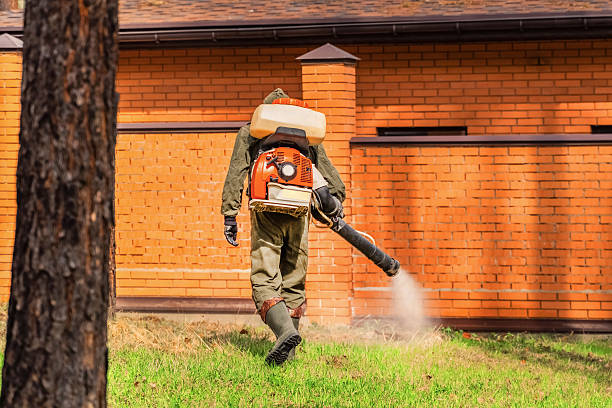 Bed Bug Clearance Verification and Documentation in Channelview